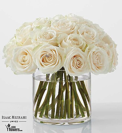 Classic - White Rose by Isaac Mizrahi