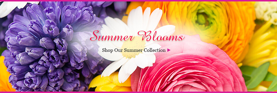 Summer Banner
